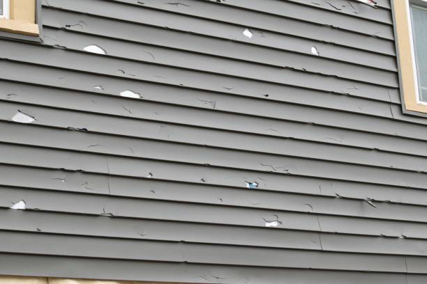 Best Residential Vinyl Siding Installation  in Hinesville, GA